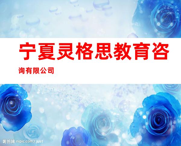 宁夏灵格思教育咨询有限公司